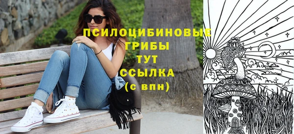 первитин Балахна