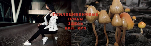 хмурый Богданович